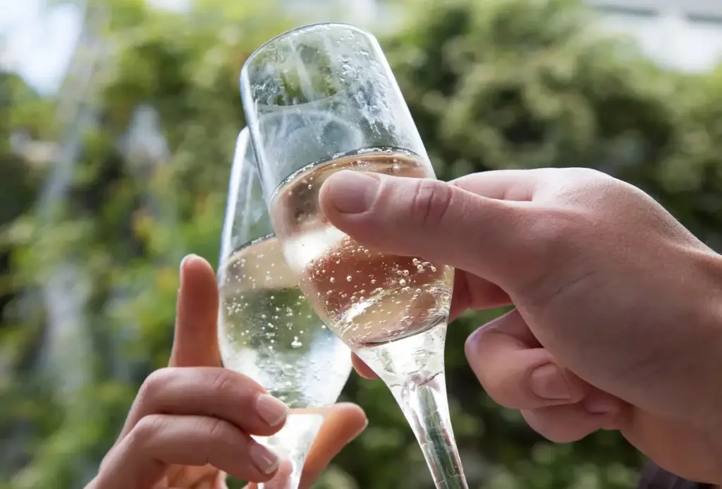 Elegant & Effervescent- Unveiling Our Sparkling Sensations